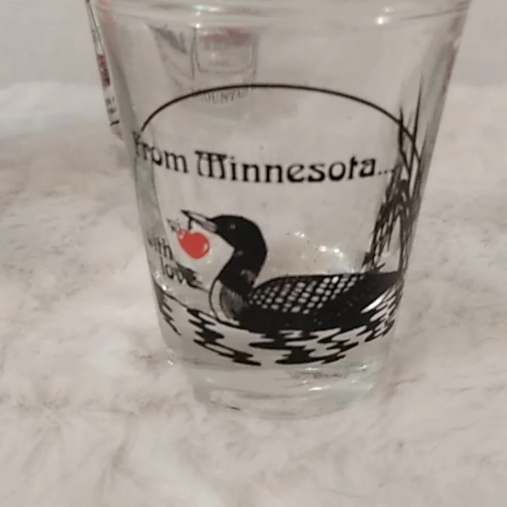 shot glass Bundle Of 5 USA States